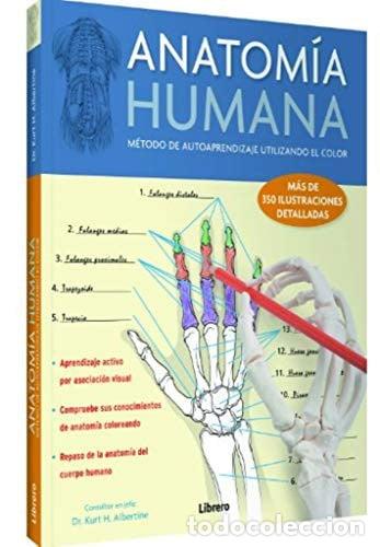 Libros: ANATOMIA HUMANA - ALBERTINE KURT H. - Foto 1
