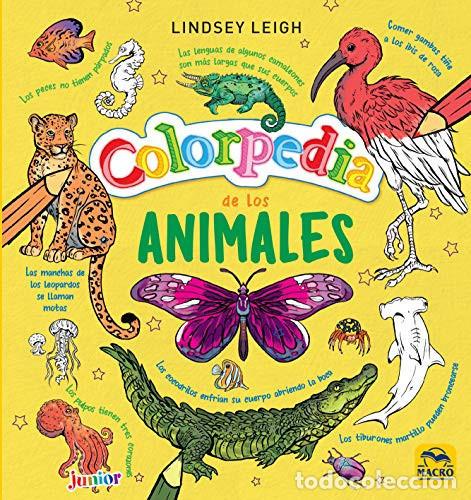 Livros em segunda m&atilde;o: COLORPEDIA DE LOS ANIMALES - LINDSEY LEIGH