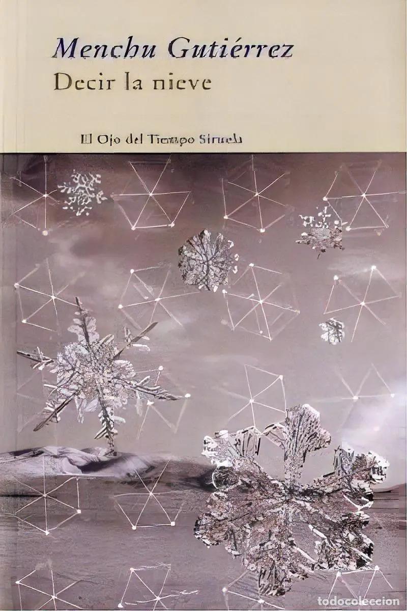 Libros: DECIR LA NIEVE - MENCHU GUTIERREZ - Foto 1