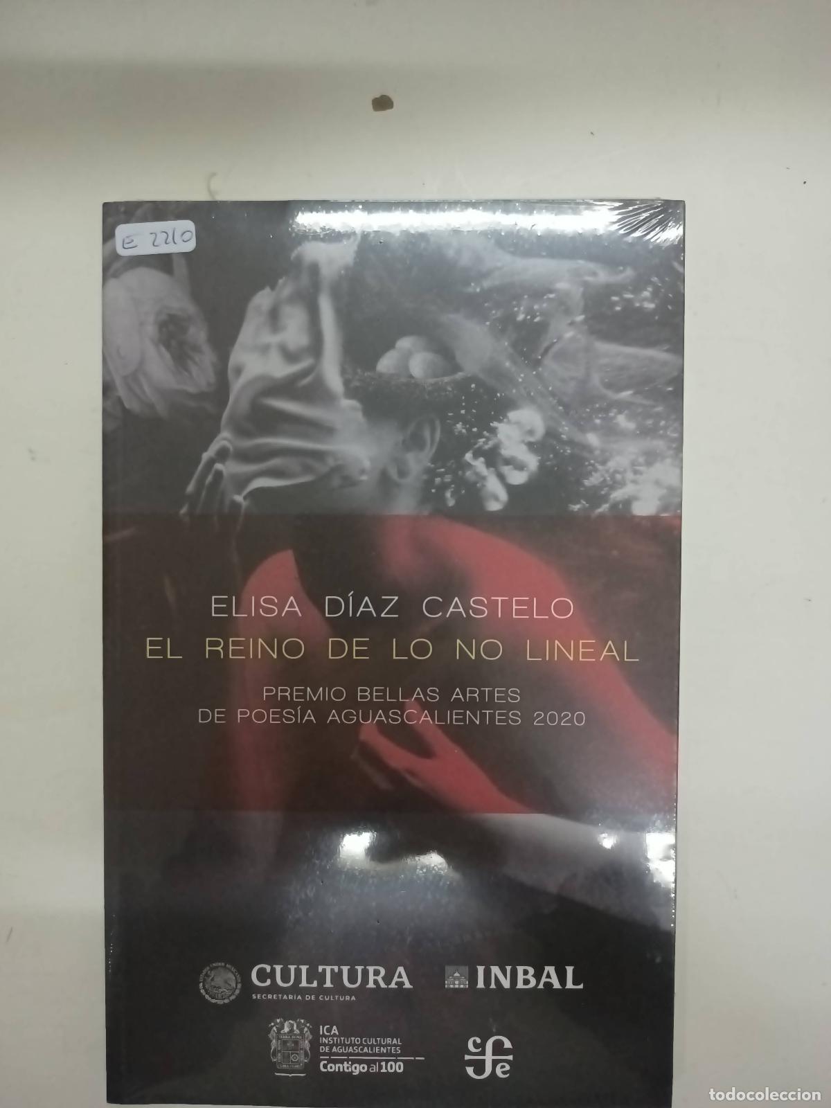 Libros: El reino de lo no lineal - Elisa D&iacute;az Castelo