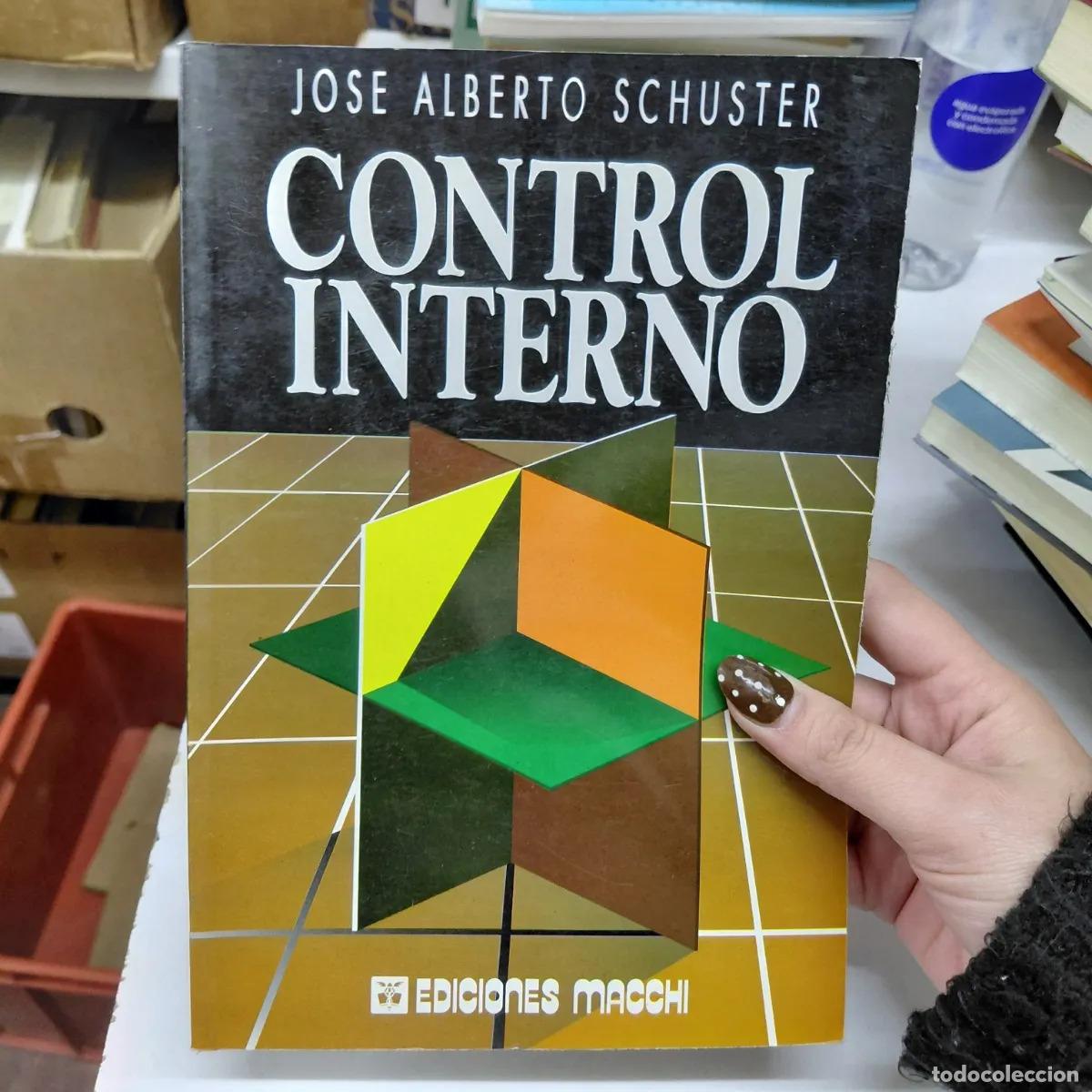 Control interno - Schuster