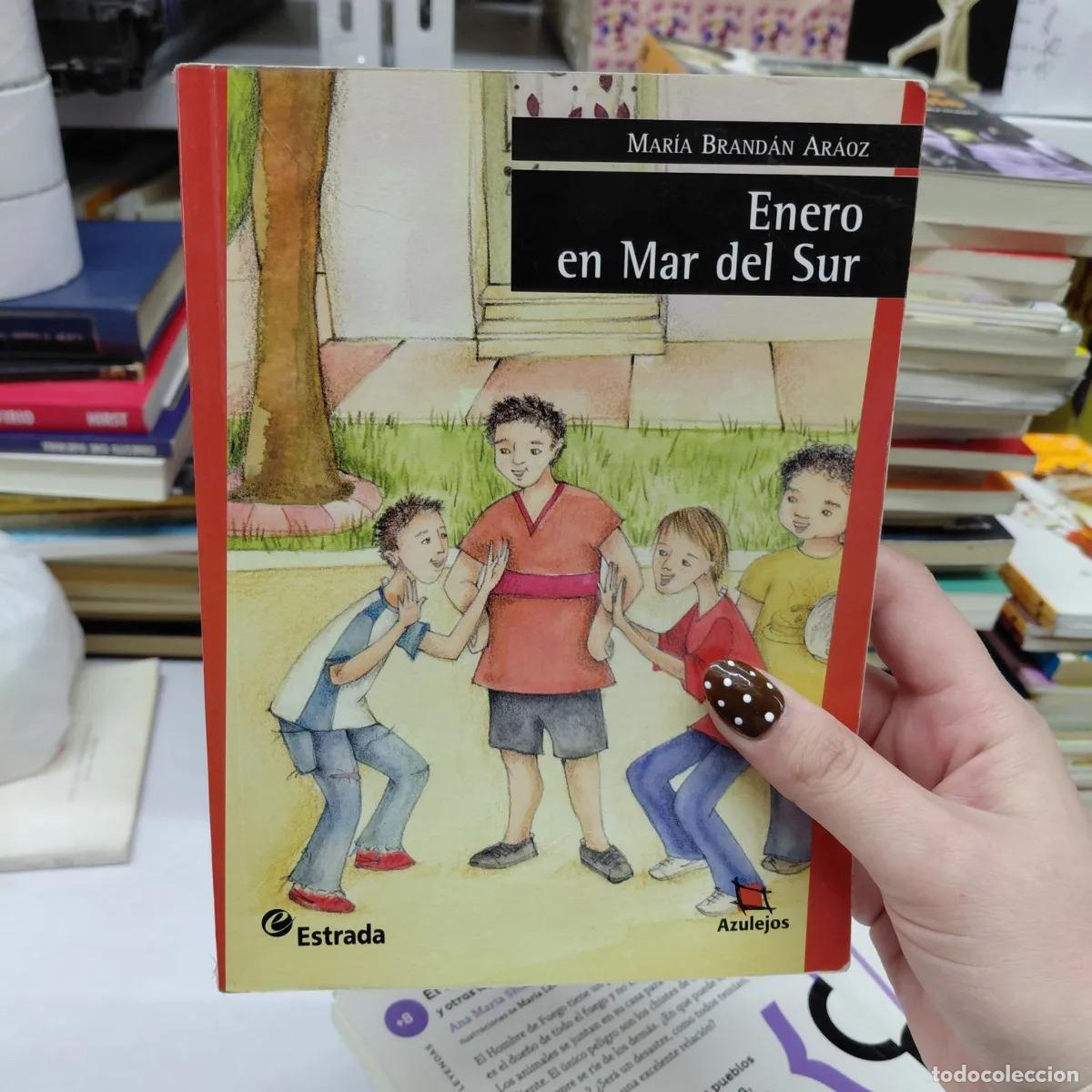 Libros: Enero en Mar del sur (det.) - Maria Brandan Araoz