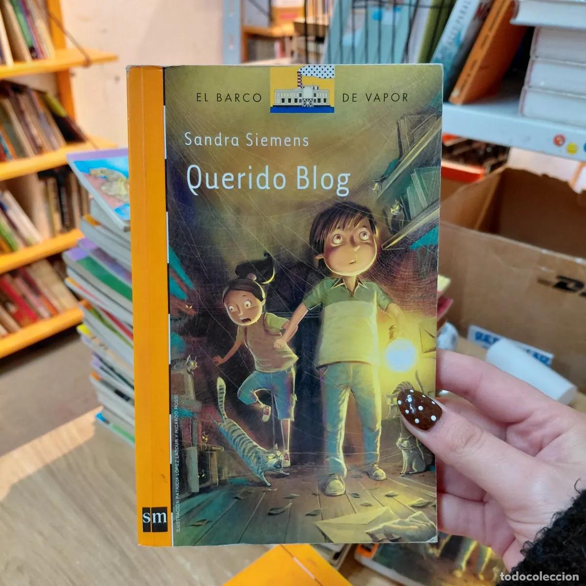 Libros: Querido Blog - Sandra Siemens - Foto 1