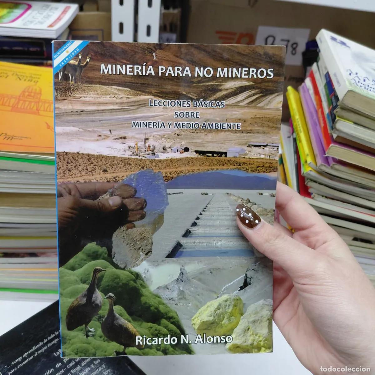 books: Mineria para no mineros (det.) - Alonso