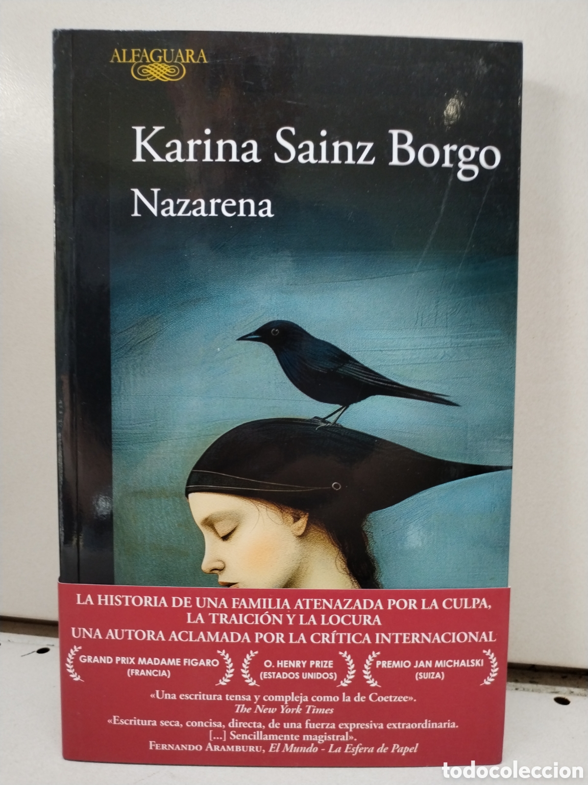 Libros: Nazarena - Sainz Borgo, Karina