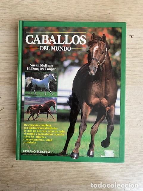 Libros: CABALLOS DEL MUNDO - Foto 1