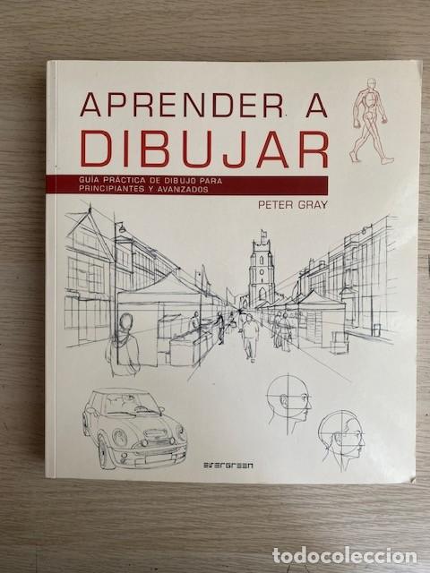 Livres: APRENDER A DIBUJAR, GUIA PRACTICA DE DIBUJO PARA PRINCIPIANTES Y AVANZADOS - PETER GRAY
