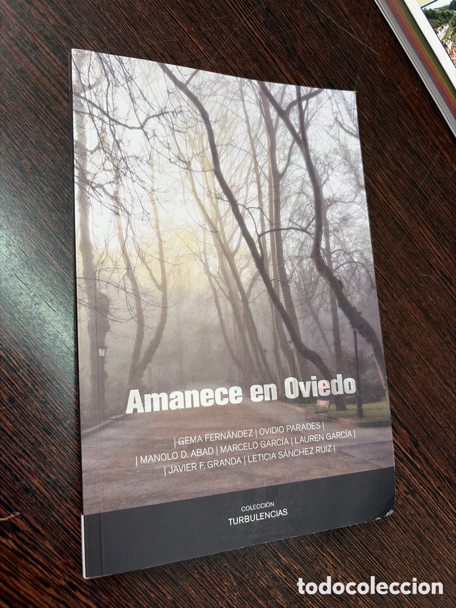 Libros: AMANECE EN OVIEDO VARIOS AUTORES COLECCION TURBULENCIAS