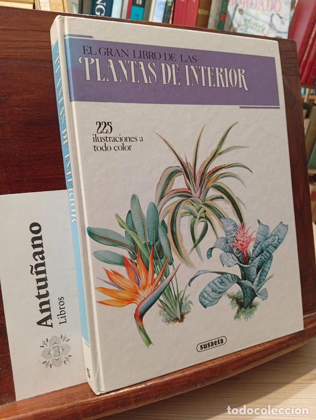 B&uuml;cher: EL GRAN LIBRO DE LAS PLANTAS DE INTERIOR