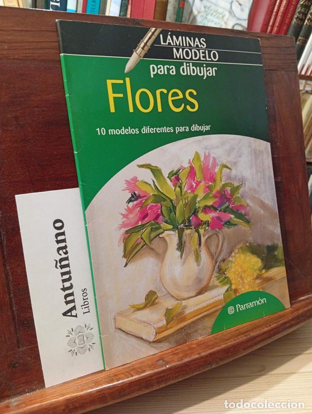 Libri di seconda mano: L&aacute;minas modelo para dibujar flores (Spanish Edition)