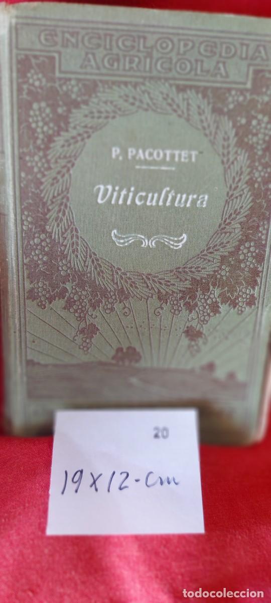 Libros: LIBRO VITICULTURA - ENCICLOPEDIA AGR&Iacute;COLA - P. PACOTTET (( PEDIDOS M&Iacute;NIMOS 10 &euro; ) CAJA N.&ordm; 6