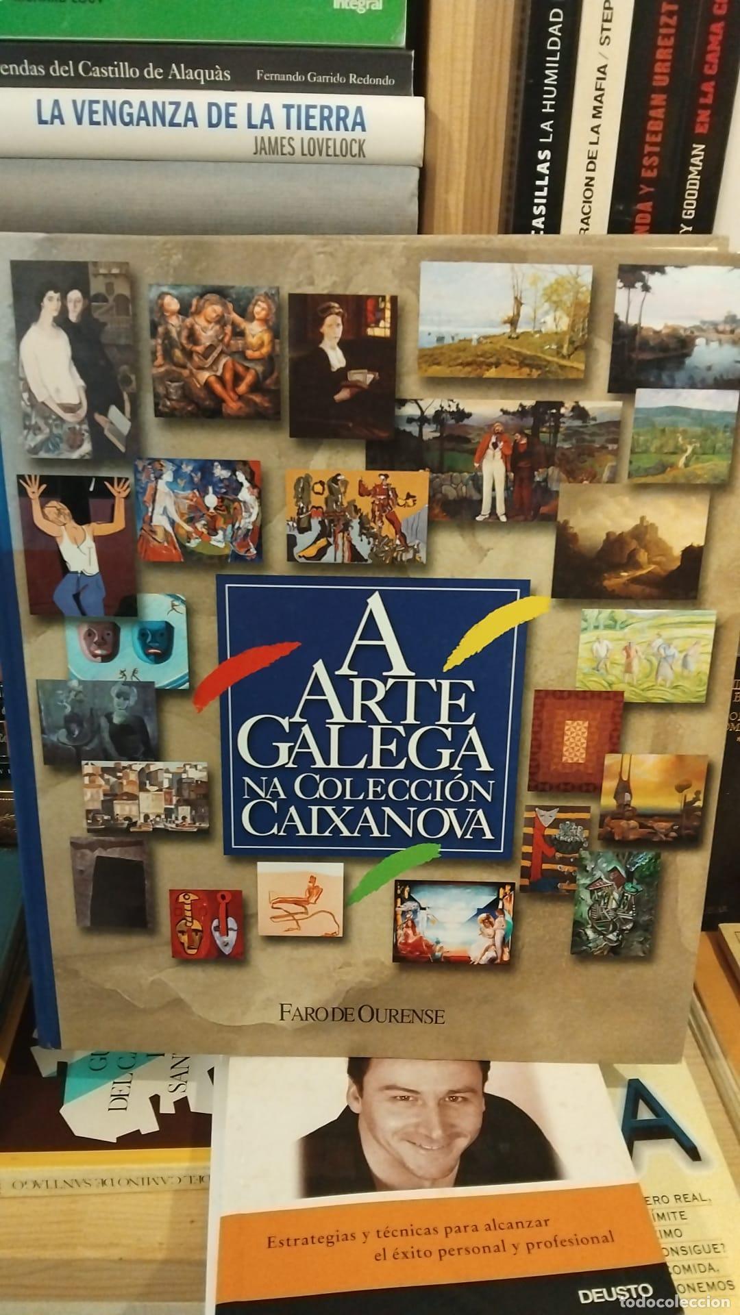 Libros: A arte galega na colecci&oacute;n Caixanova - - Foto 1
