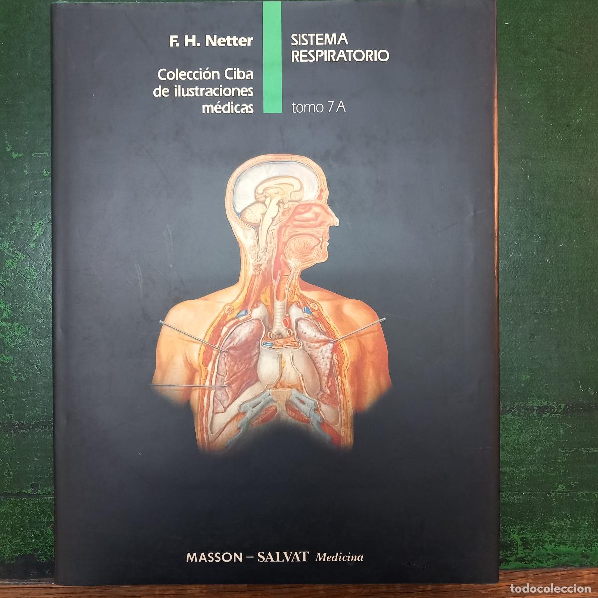Libros: SISTEMA RESPIRATORIO - NETTER, F. H.