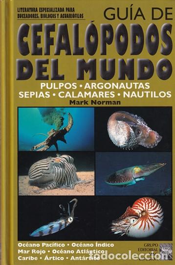 Libri di seconda mano: Gu&iacute;a de Cefal&oacute;podos del mundo (Pulpos. Argonautas. Sepias. Calamares y Nautilos) - Mark Norman