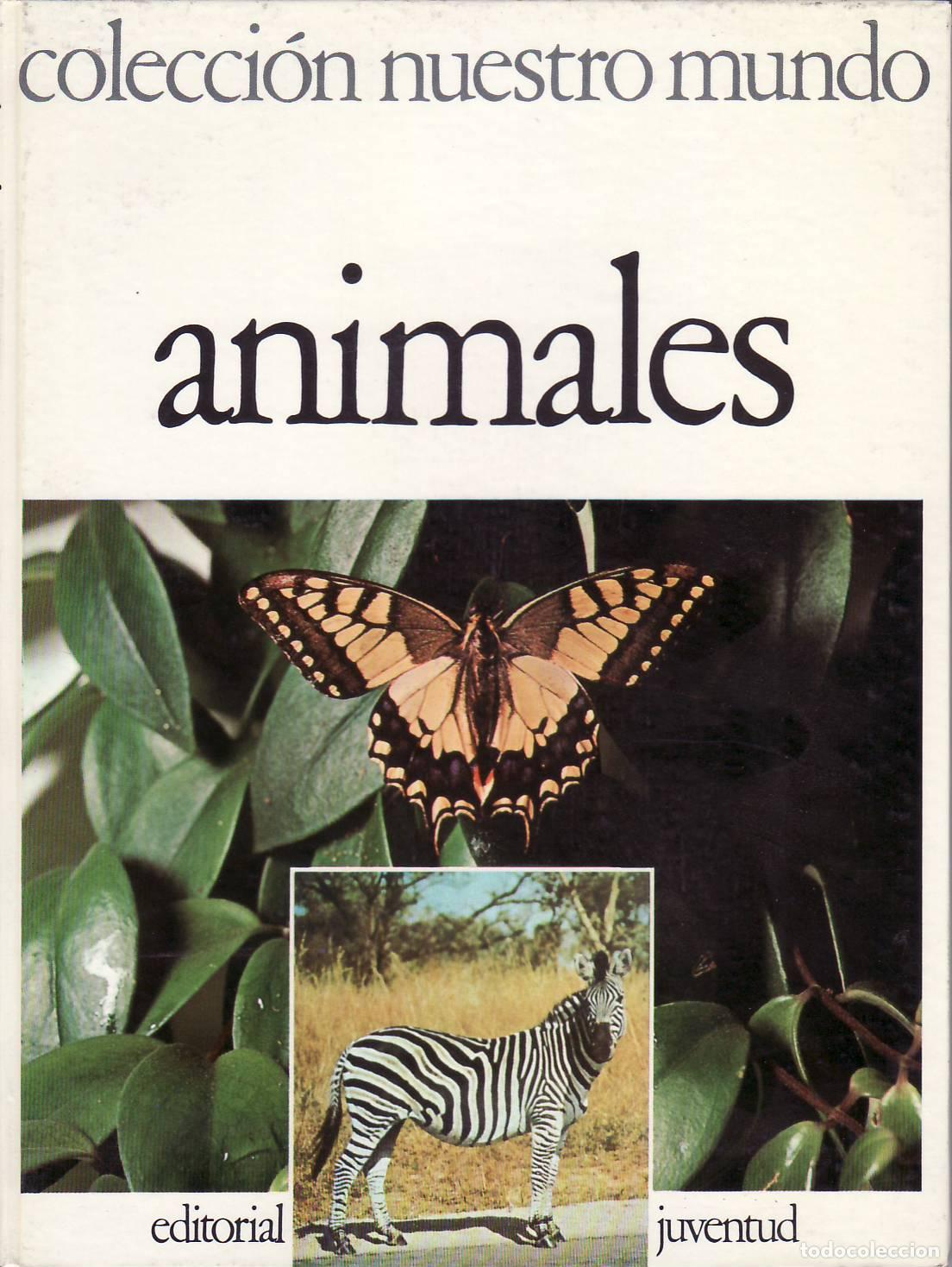 Libros: NUESTRO MUNDO.- Animales. - Foto 1