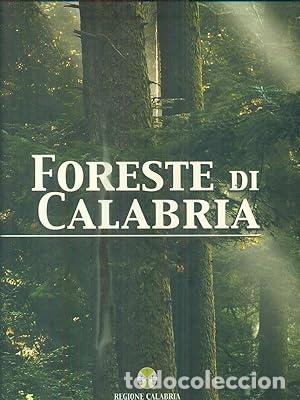 Libros: VV. AA.- - Foreste di Calabria. Prefazione Dionisio di Gallo. Introduzione di Francesco Bevilacqua.