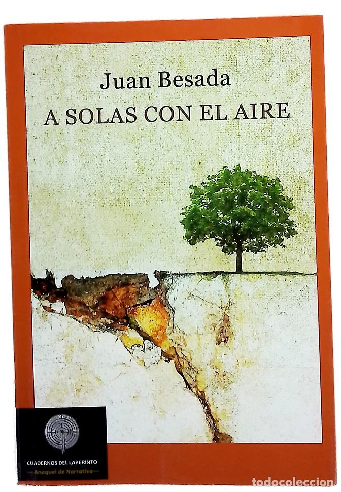 Libros: A solas con el aire - Besada, Juan