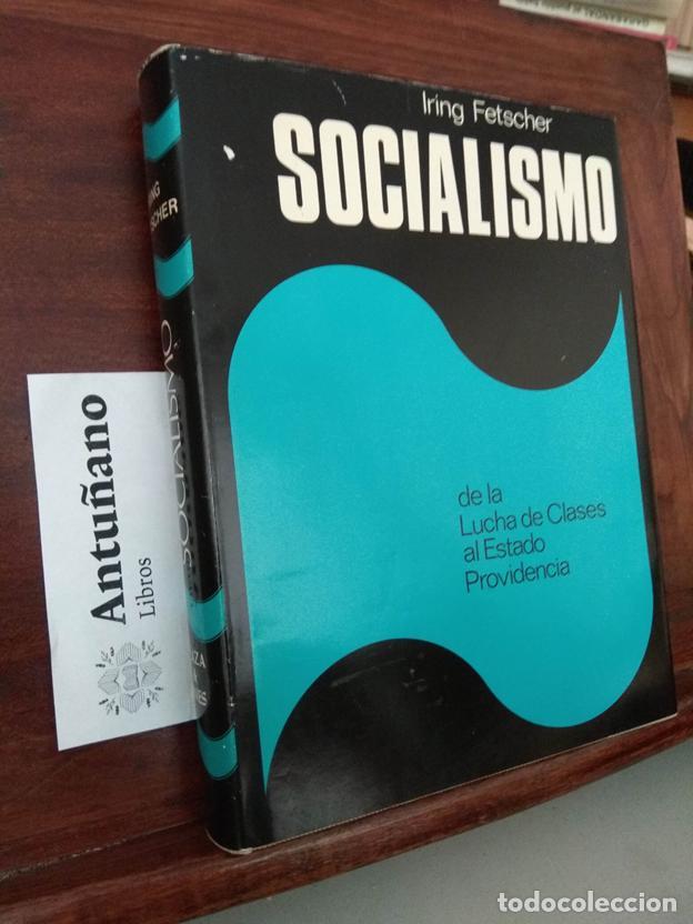 B&uuml;cher: Socialismo de la lucha de clases al estado providencia