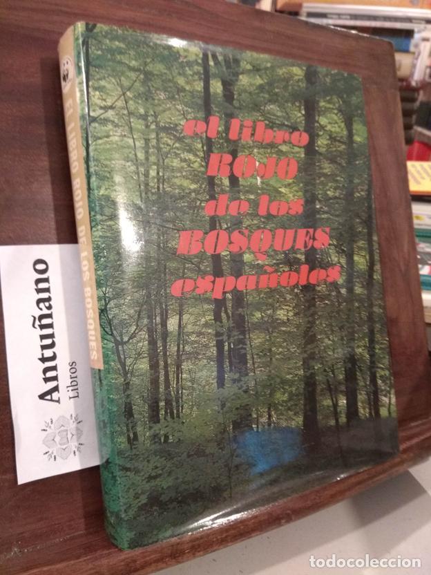 Libros: El libro rojo de los bosques espa&ntilde;oles - Foto 1