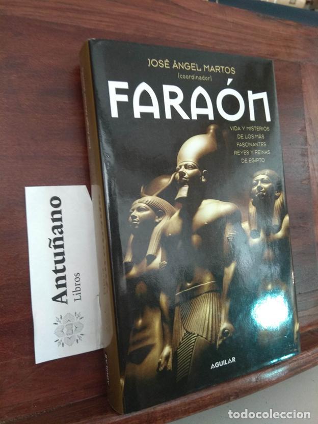 books: Fara&oacute;n Vida y Misterios de los m&aacute;s fascinantes Reyes y Reinas de Egipto