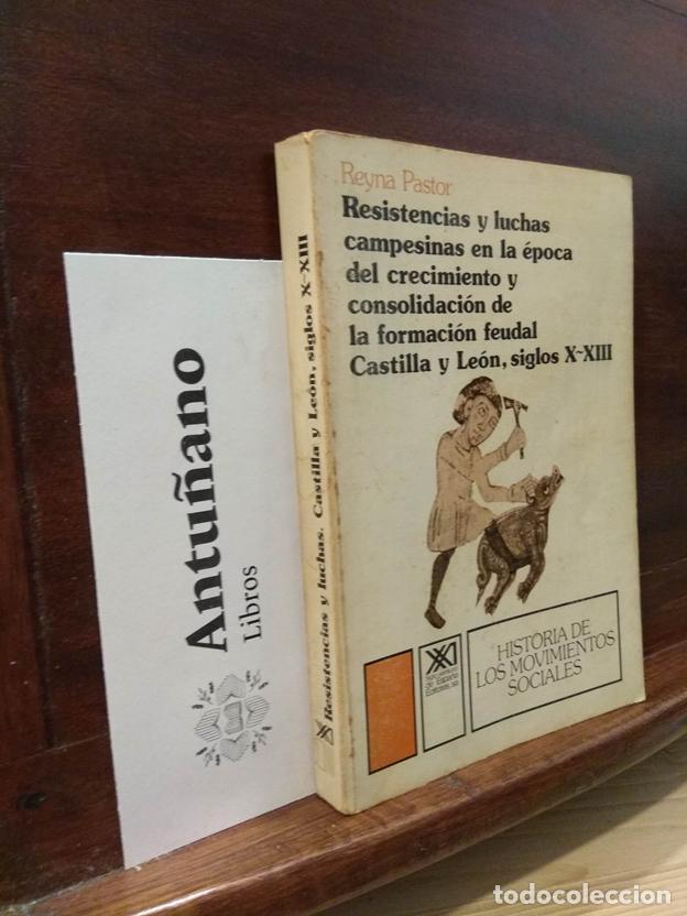B&uuml;cher: Resistencias y luchas campesinas en la &eacute;poca del crecimiento y consolidaci&oacute;n de la formaci&oacute;n feudal
