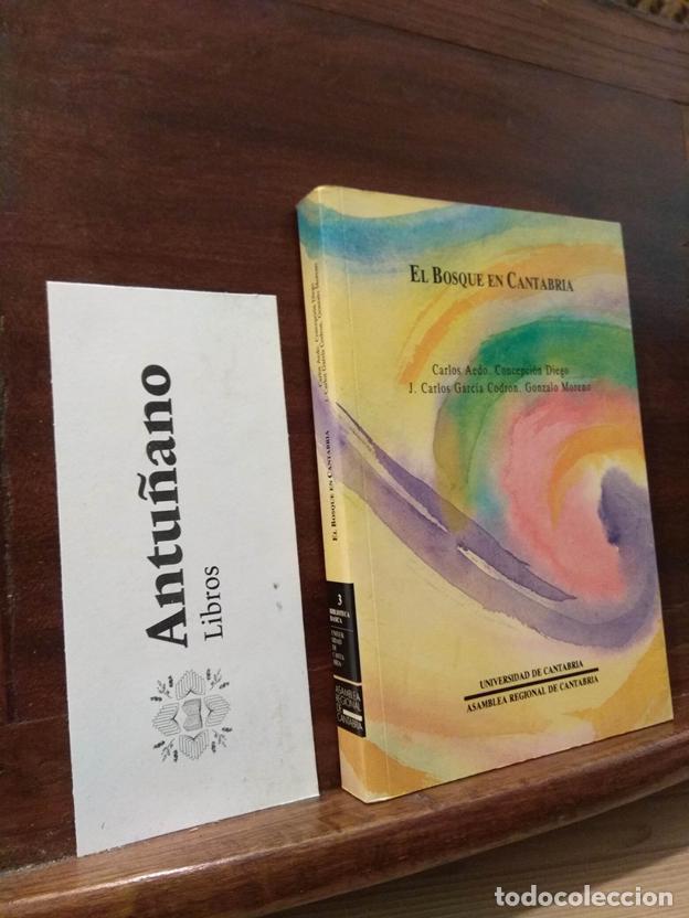 Libros: El bosque en Cantabria - Foto 1