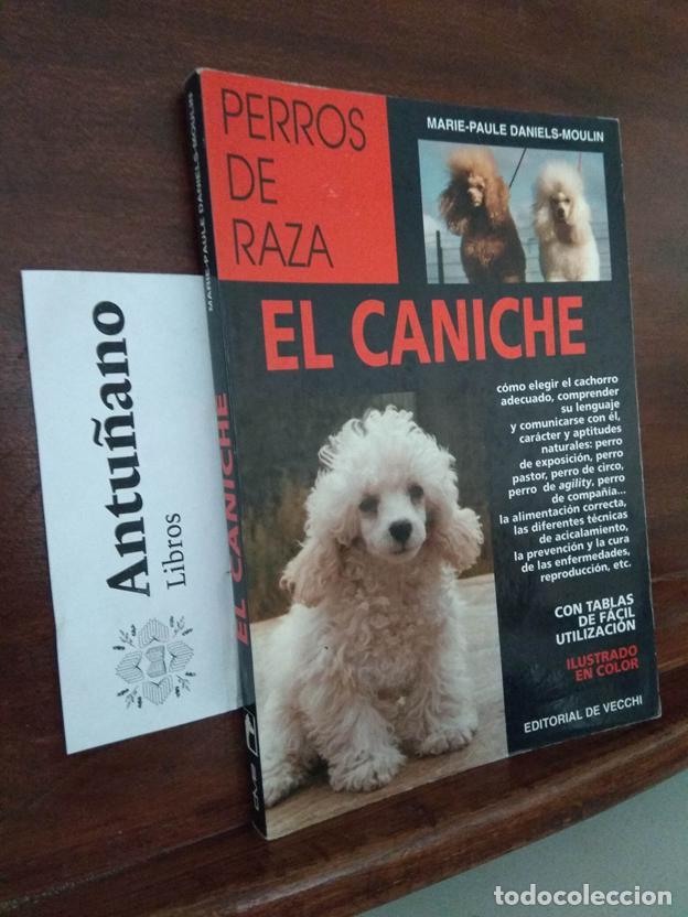 Libros: Perros de raza. El caniche - Foto 1