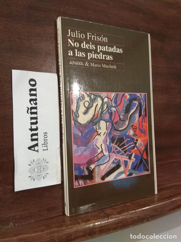 Libros: No deis patadas a las piedras - Foto 1