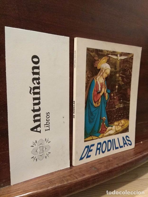 Libros: De rodillas - Foto 1