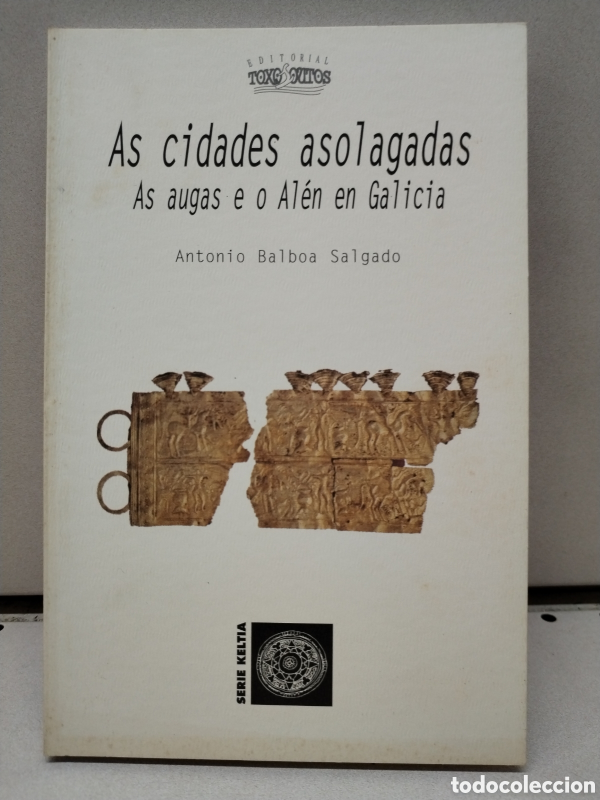 As cidades asolagadas - Balboa Salgado, Antonio