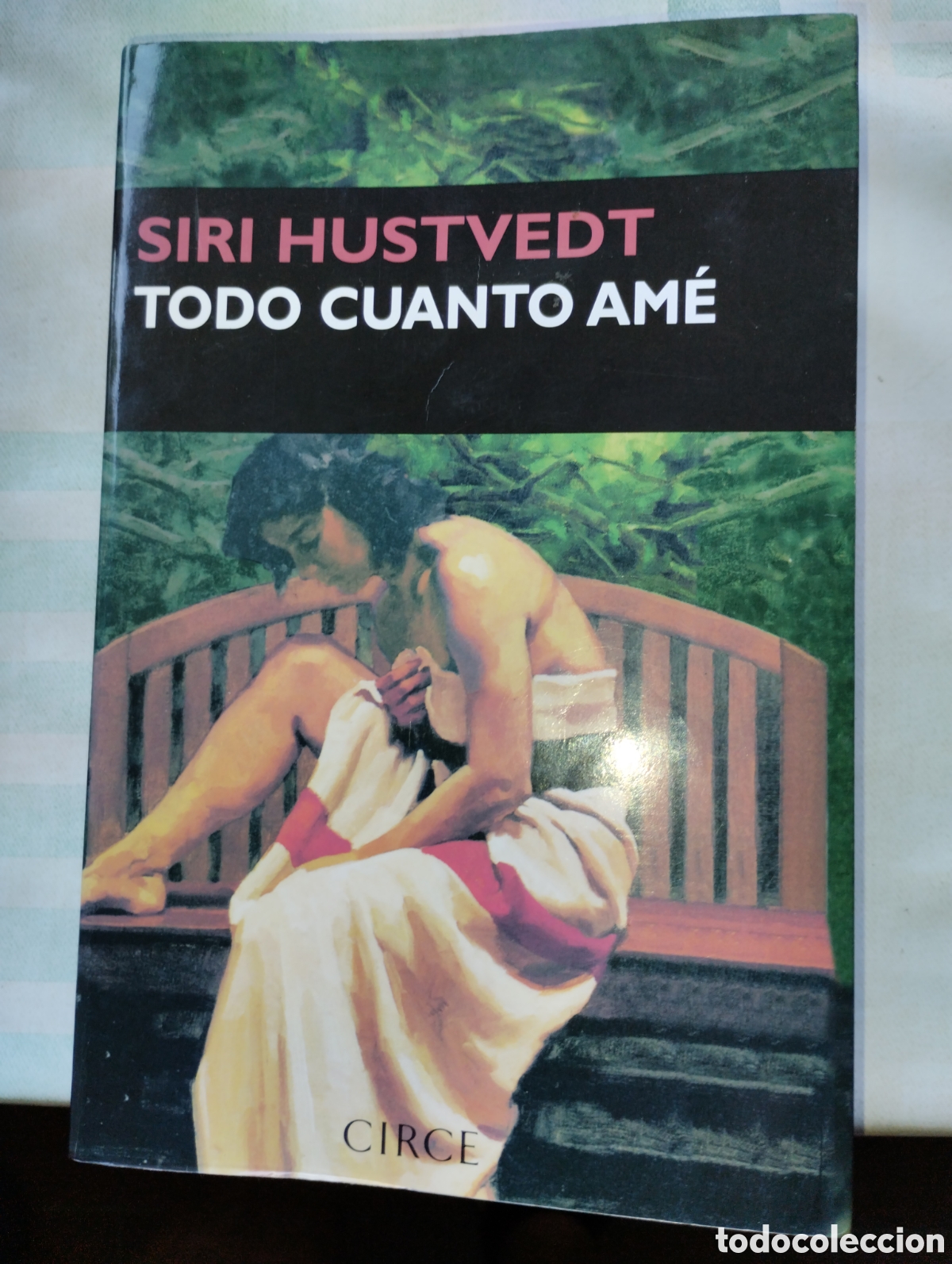 Libros: TODO CUANTO AM&Eacute;, HUSTVEDT, SIRI
