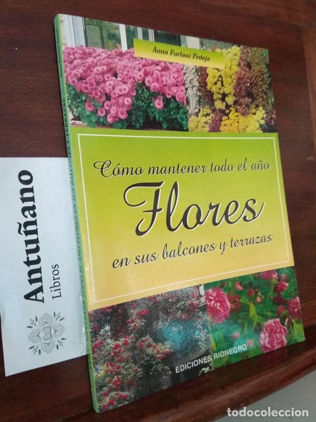 Libros: C&oacute;mo mantener todo el a&ntilde;o flores en sus balcones y terrazas - Foto 1