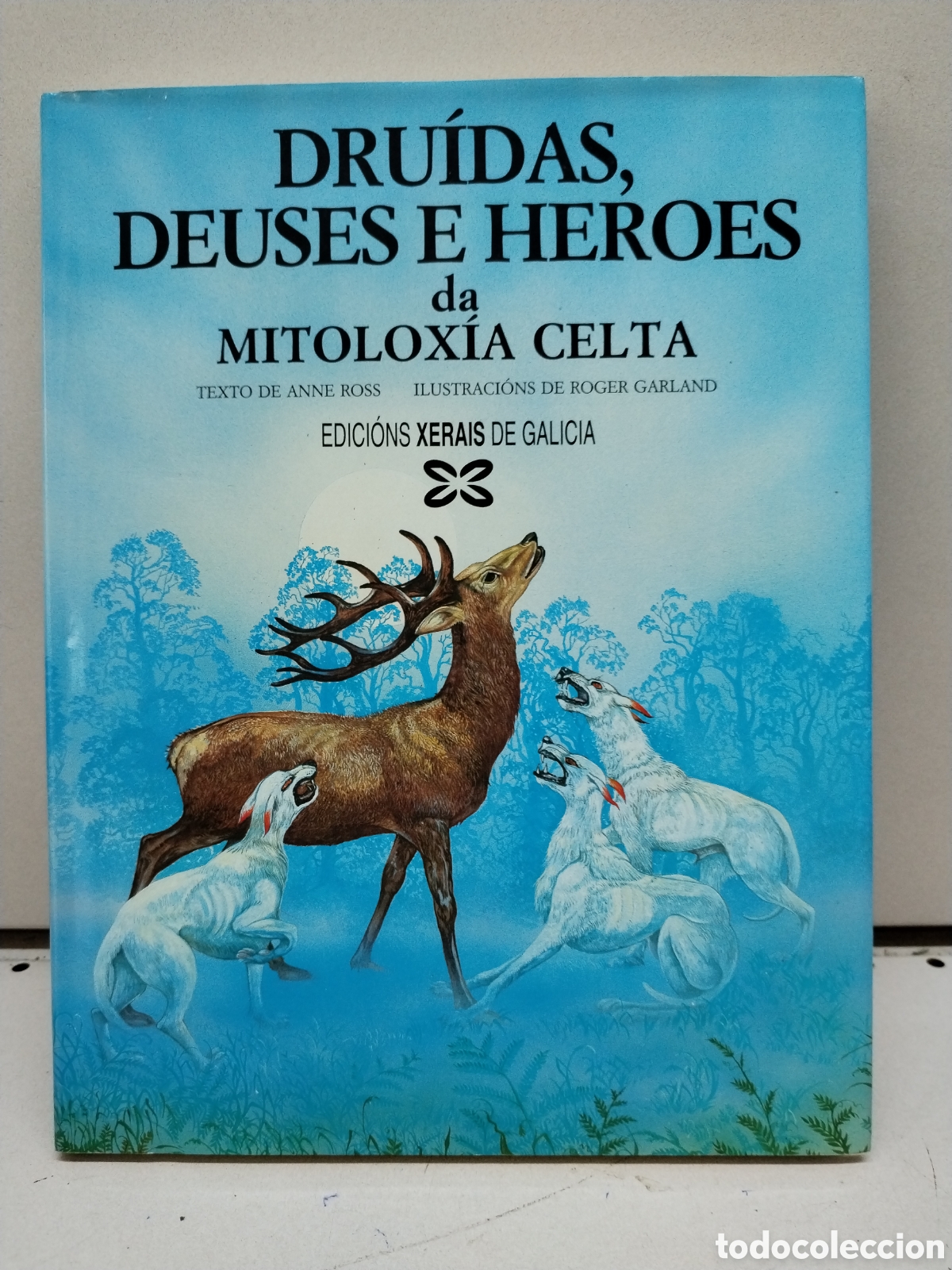 Libros: Dru&iacute;das, deuses e heroes da mitolox&iacute;a celta - Ross, Anne - Foto 1