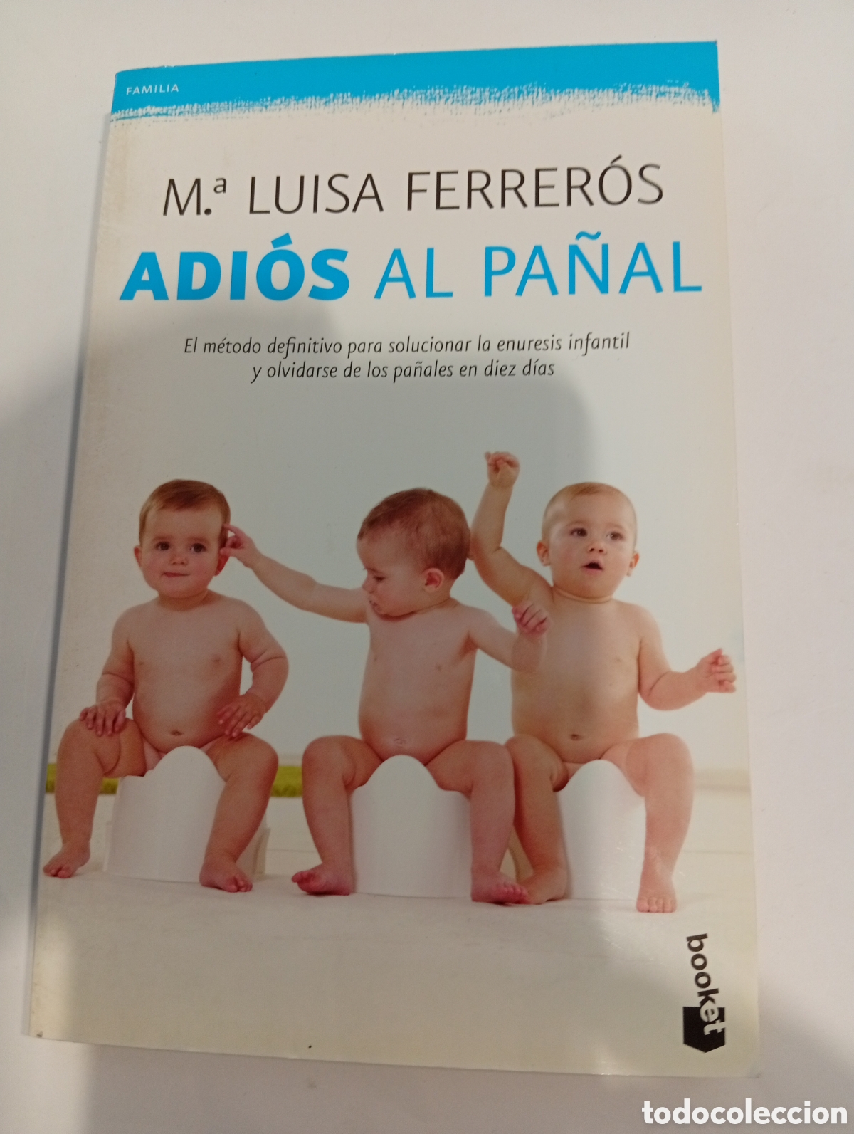 Libros: Adi&oacute;s al pa&ntilde;al Mar&iacute;a Luisa Ferreros - Foto 1