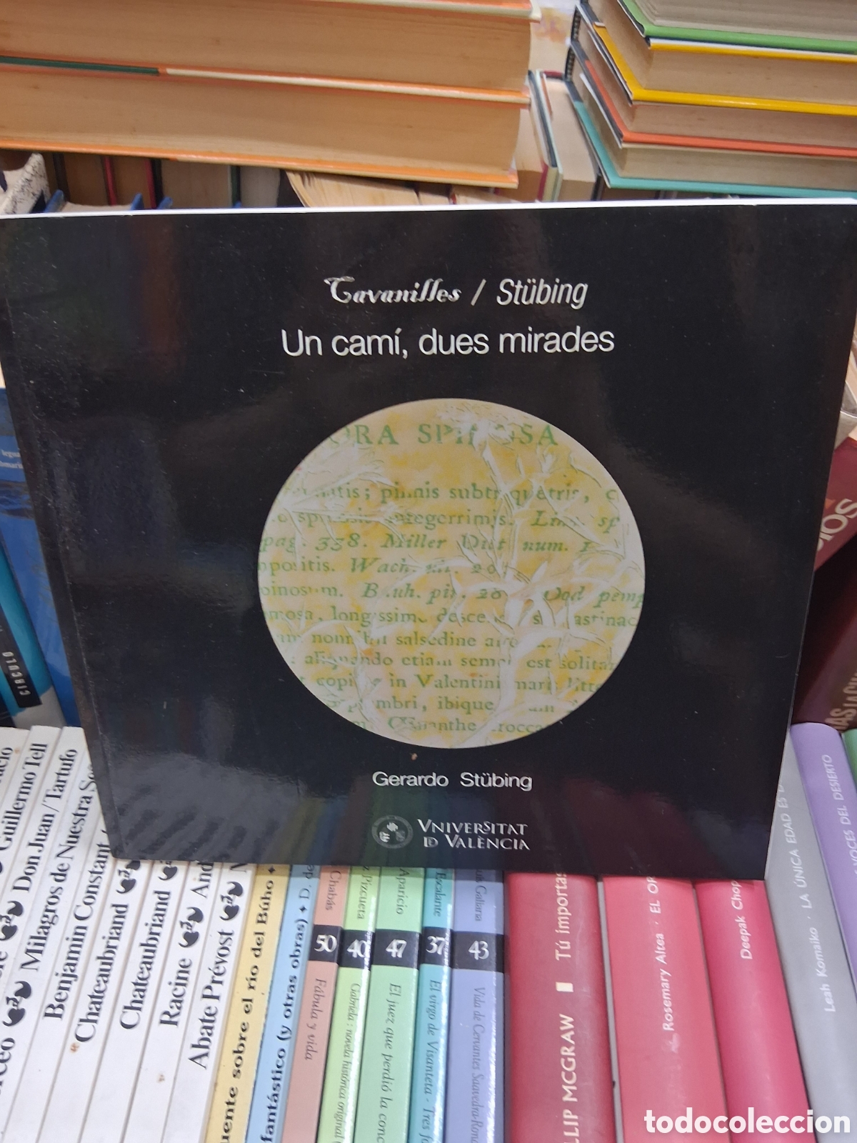 Libros: Un cami, dues mirades. Cavanilles. St&uuml;bing . Gerardo. Universidad de Valencia