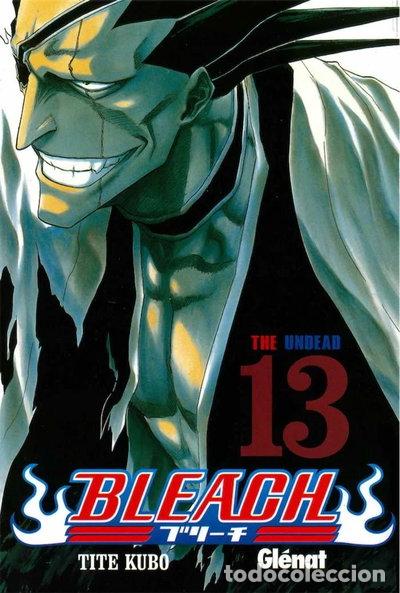 Libros: Bleach 13- 9788483571835