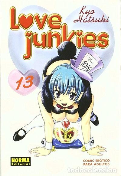 Libros: Love Junkies 13- 9788498476897
