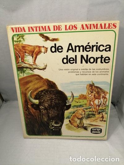 Libros: Vida &iacute;ntima de los animales de Am&eacute;rica del Norte- 9788432124327
