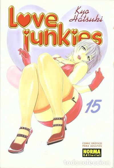 B&uuml;cher: Love Junkies 15- 9788498476910