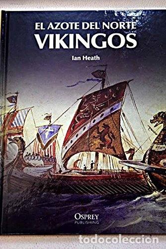 books: Vikingos, el azote del norte- 9788447373017