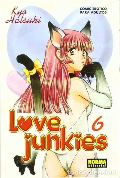 B&uuml;cher: Love Junkies 06- 9788496415058
