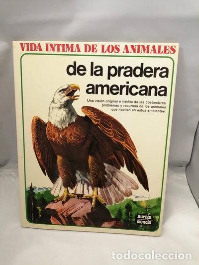 Libros: Vida &iacute;ntima de los animales de la pradera americana- 9788432125751