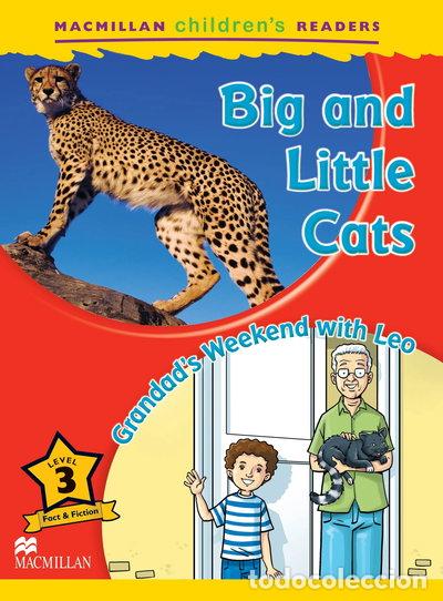 Libros: Big and Little Cats- 9780230469211 - Foto 1