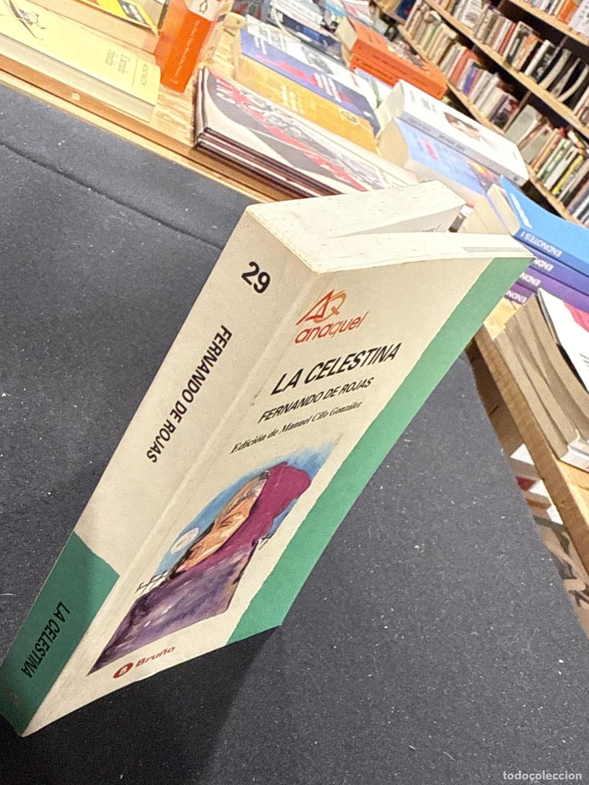 Libros: La Celestina - Fernando de Rojas - Foto 3