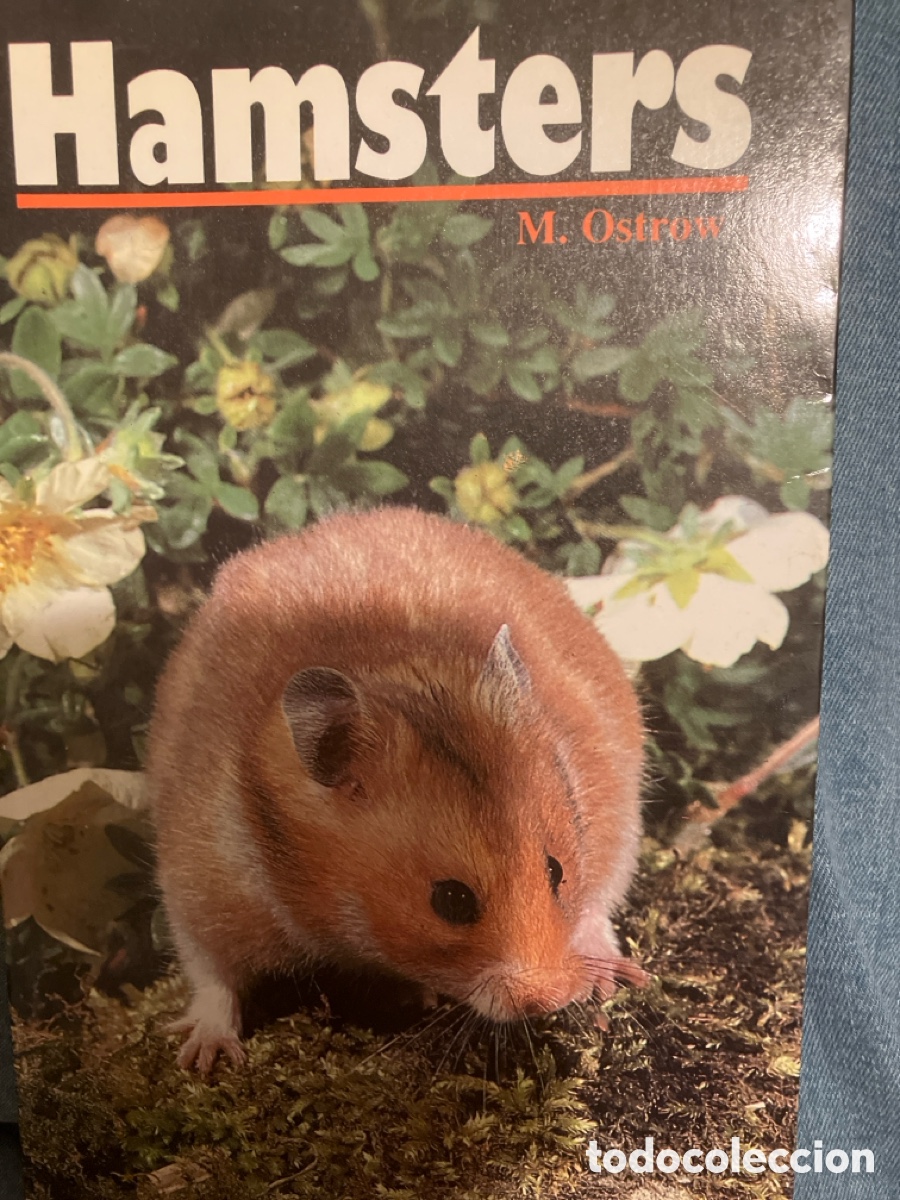 Libros: Hamsters . M. Ostrow - Foto 1