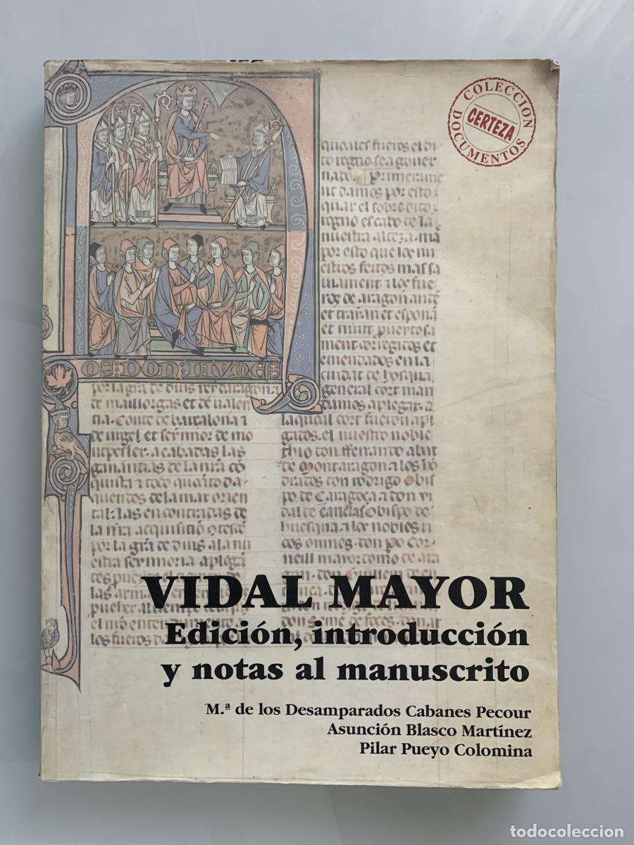 Libros: VIDAL MAYOR. Edici&oacute;n, introducci&oacute;n y notas al manuscrito - Mar&iacute;a de los Desamparados Cabanes Pecour,