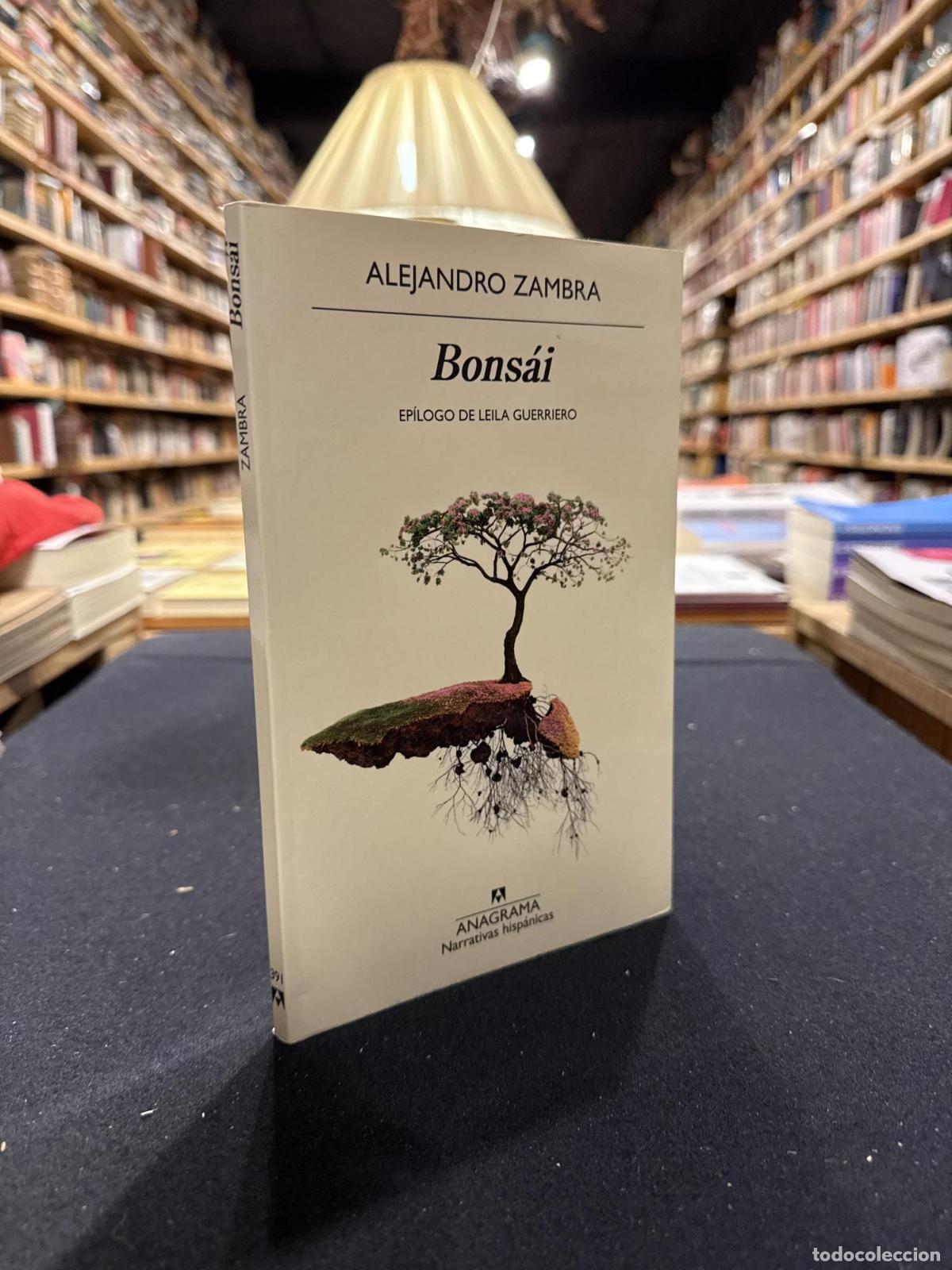 Libros: Bons&aacute;i - Alejandro Zambra - Foto 2