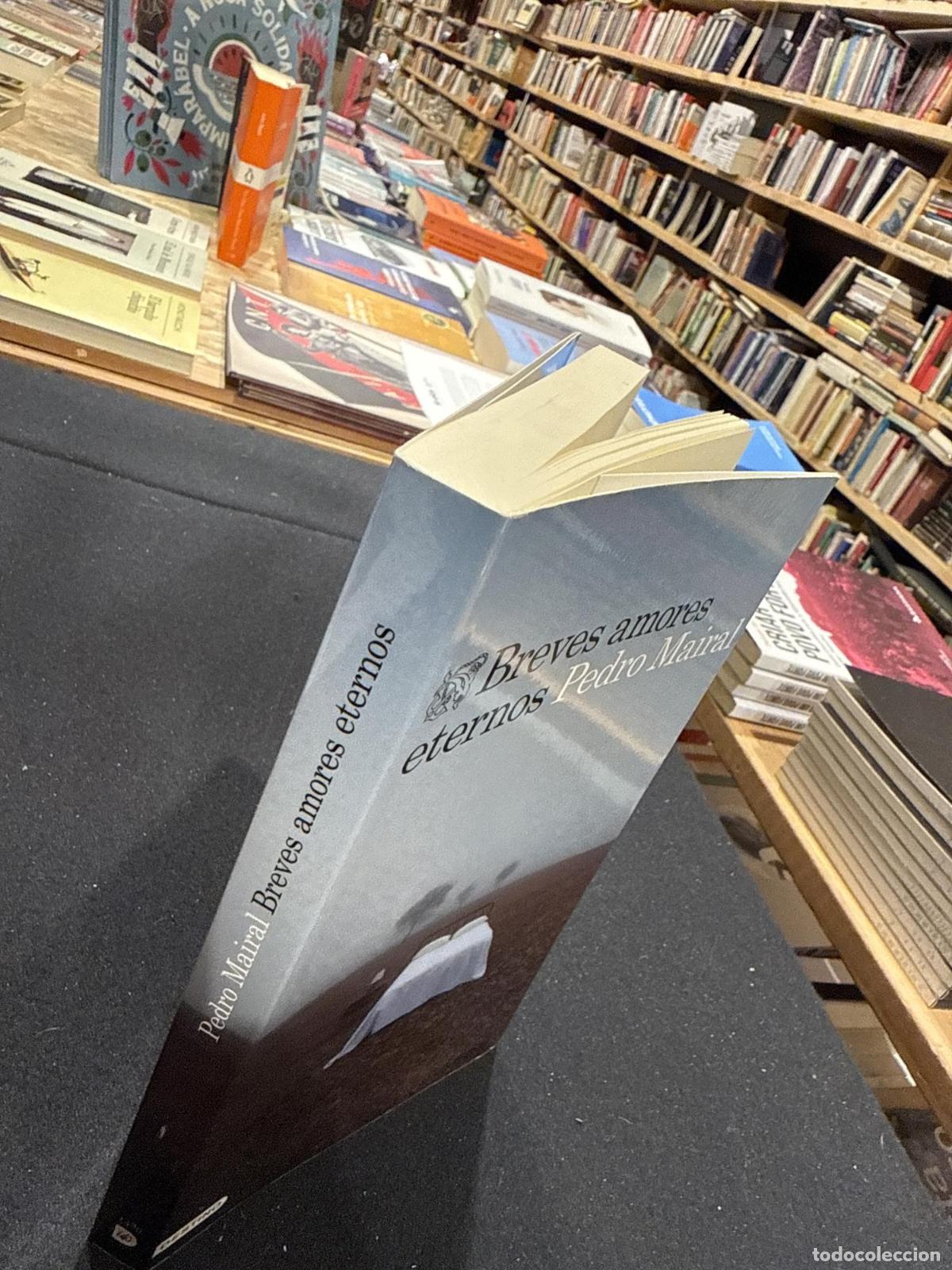 Libros: Breves amores eternos - Pedro Mairal - Foto 3