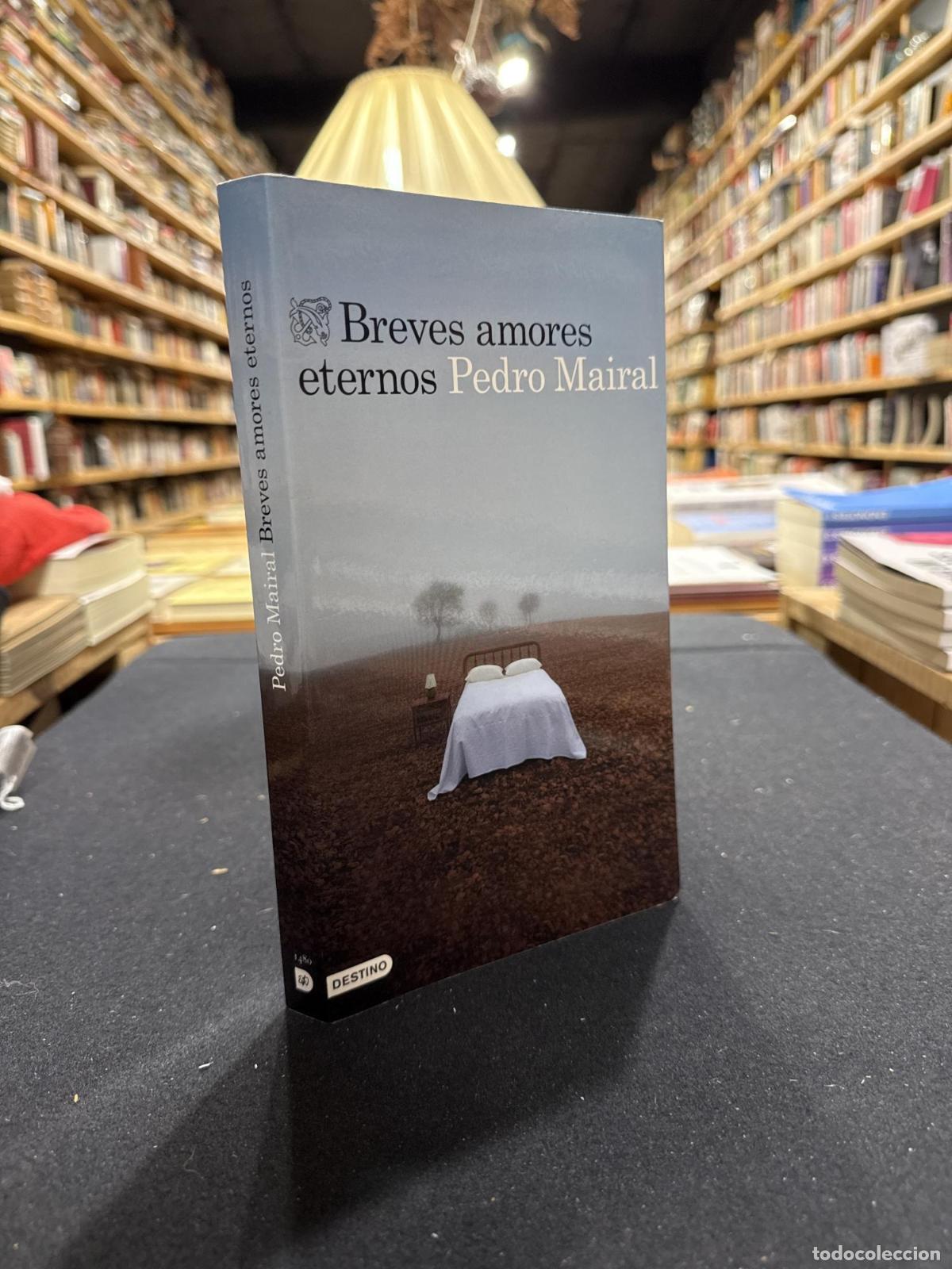 Libros: Breves amores eternos - Pedro Mairal