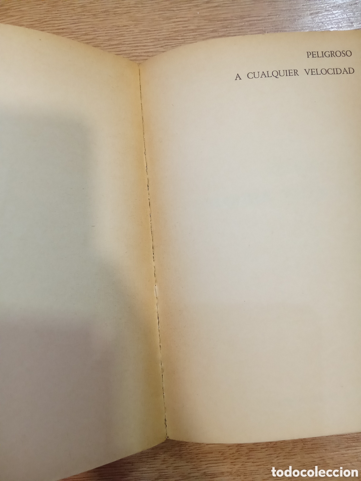 Libros: Peligroso a cualquier velocidad - Foto 6